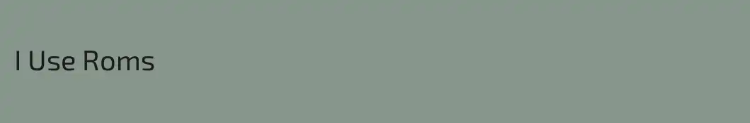I Use Roms